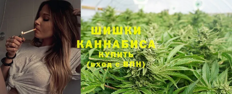 Каннабис OG Kush  Моздок 